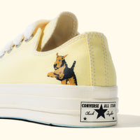 Darryl Chuck 70 Lemon
