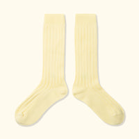Darryl Socks Eggnog