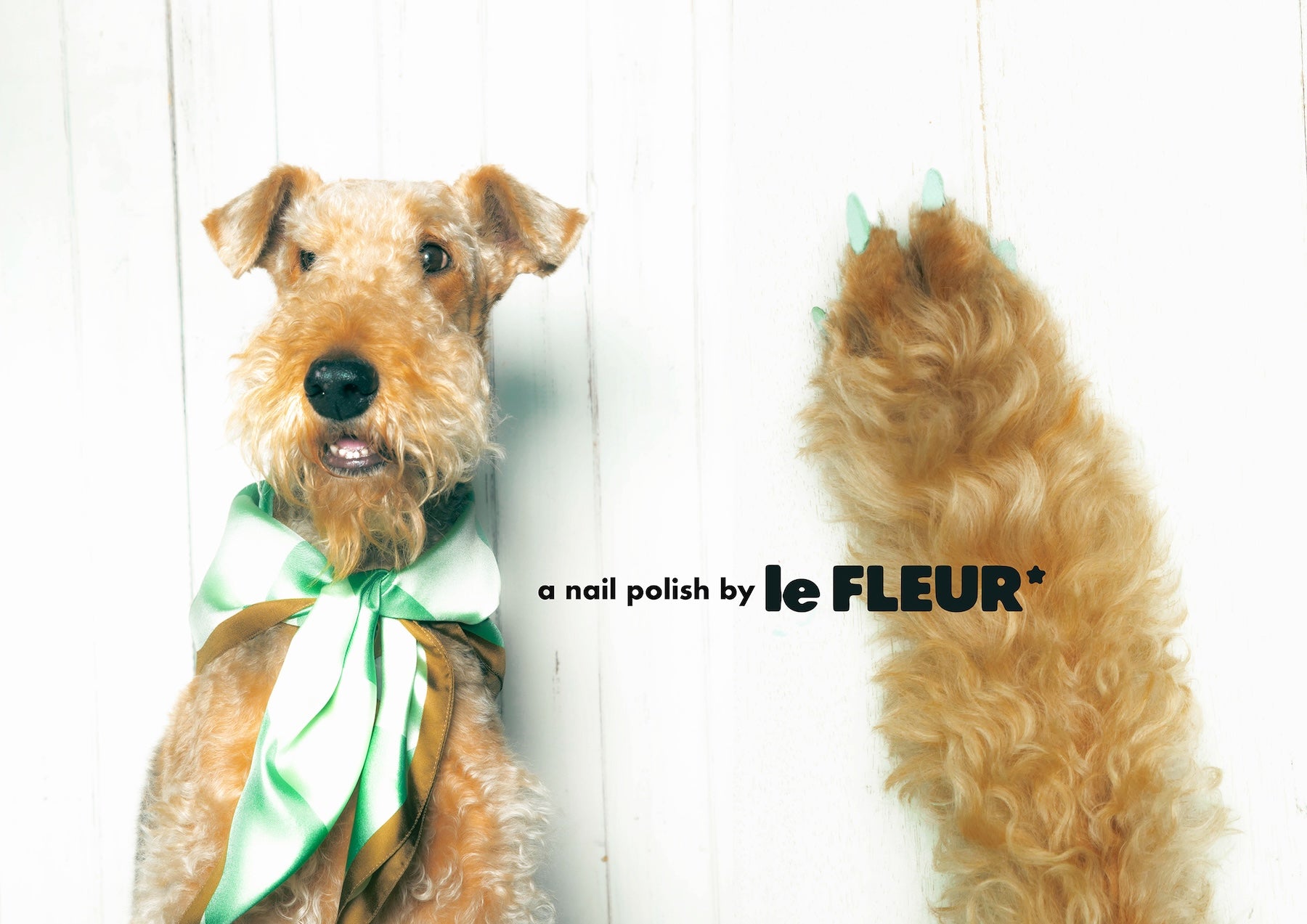 Jade – GOLF le FLEUR*